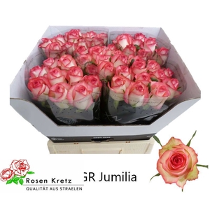 R GR JUMILIA