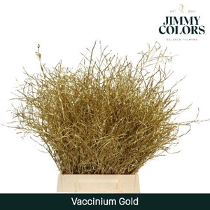 Vaccinium L50 Goud