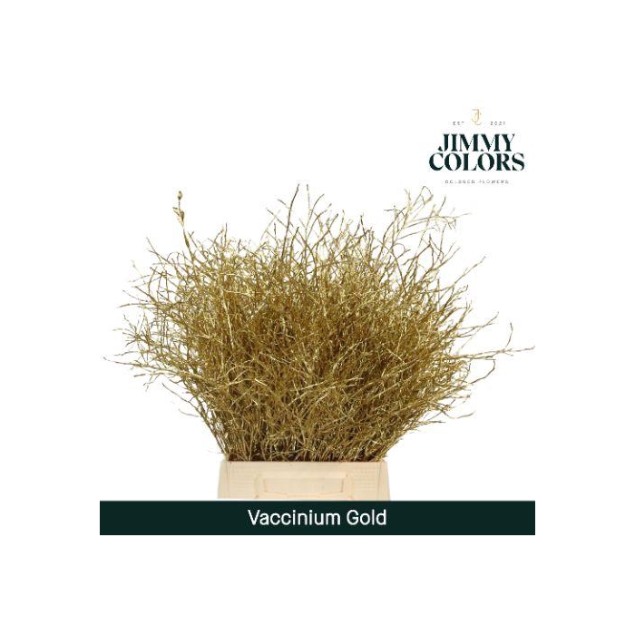 <h4>Vaccinium L50 Goud</h4>