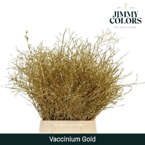 Vaccinium L50 Goud