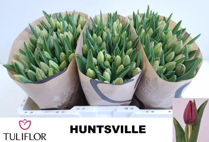 <h4>TU EN HUNTSVILLE</h4>