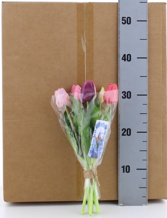 <h4>HUIS EN TUINDECO H%</h4>