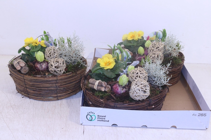 <h4>ARR TUINPLANTEN</h4>