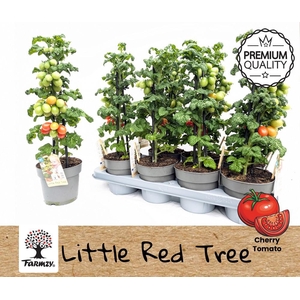 Farmzy® Little Red Tree, tomato plant