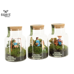 90978: Little Green Moments Terrarium