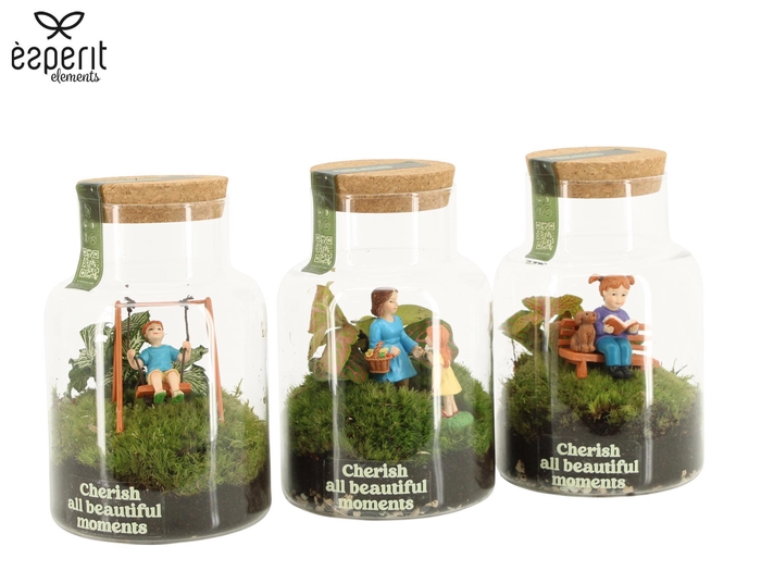 <h4>90978: Little Green Moments Terrarium</h4>