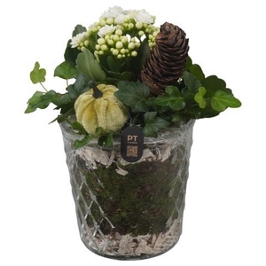 PTHG8284 Arrangement Autumn Glass in glazen vaas