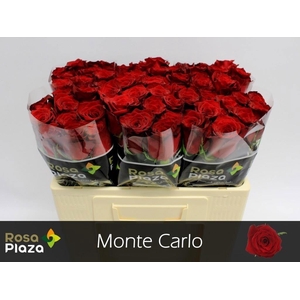 R GR MONTE CARLO#
