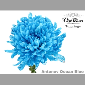 CHR G ANTONOV OCEAN BLUE