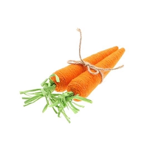 Bunch Carrot 2Pcs L8W8H28