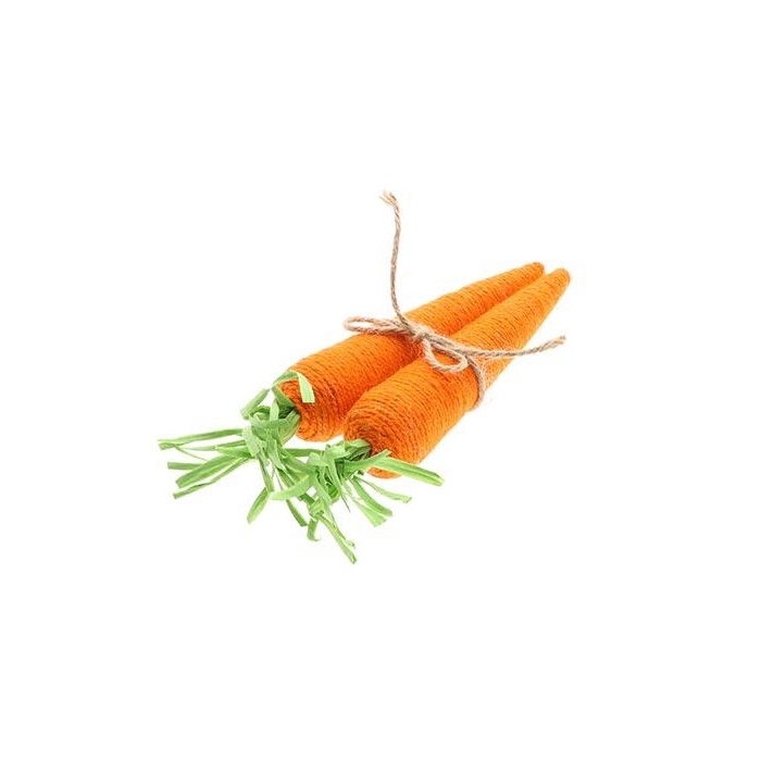 <h4>Bunch Carrot 2Pcs L8W8H28</h4>