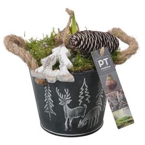 PTACH5868 Arrangementen Kerst