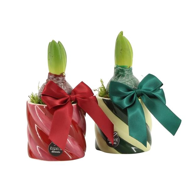 <h4>61773: X-mas arrangement</h4>