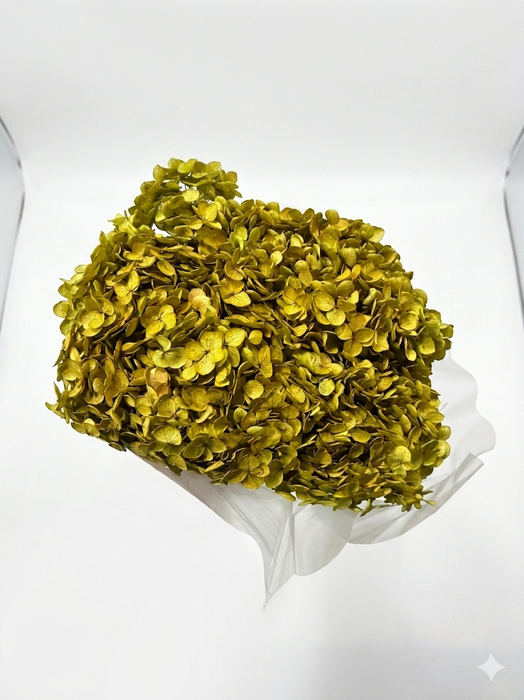 <h4>Dried Bleached Hydrangea Anna Dark Olive</h4>