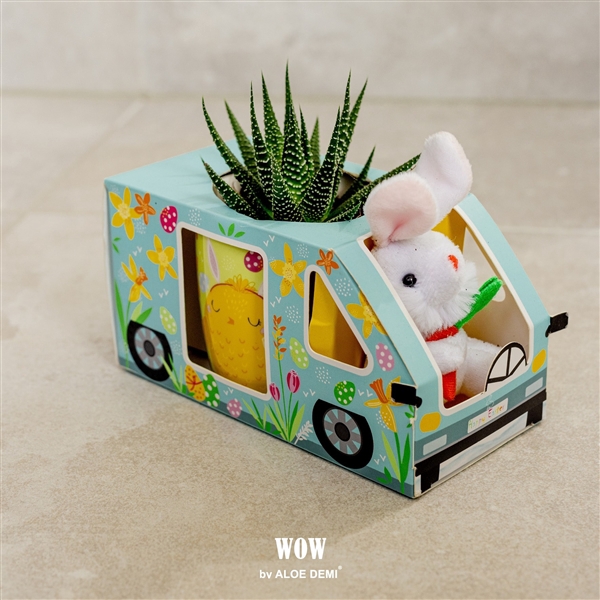 <h4>WOW Succulent, Easter mug and bunny</h4>