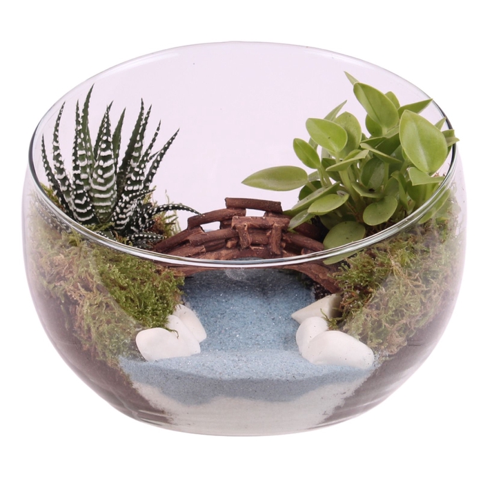 <h4>Opm Maritime Arr. Indoor Glass Bowl Vase</h4>