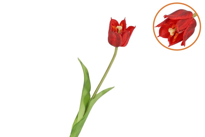 <h4>Silk Tulip Single Red 48cm Nm</h4>