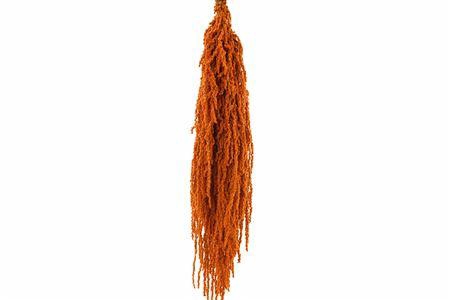 <h4>Preserved amaranthus paint cognac</h4>