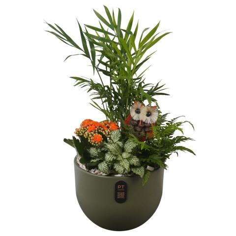 <h4>PTHI3233 Arrangement Autumn Indoor in keramiek pot</h4>