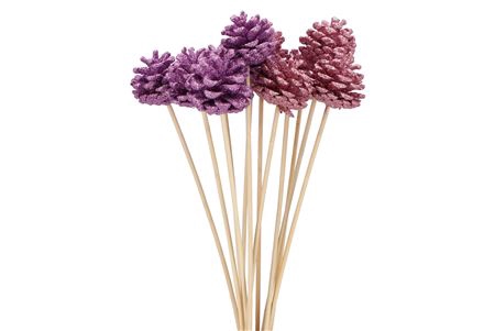 <h4>Pick Shine Pinecone Nat Lila/pink Glitter 50cm Ass</h4>