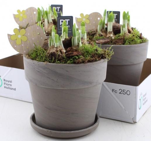 <h4>ARR N TETE A TETE</h4>