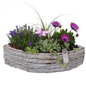 Arr.   Perkplanten H%