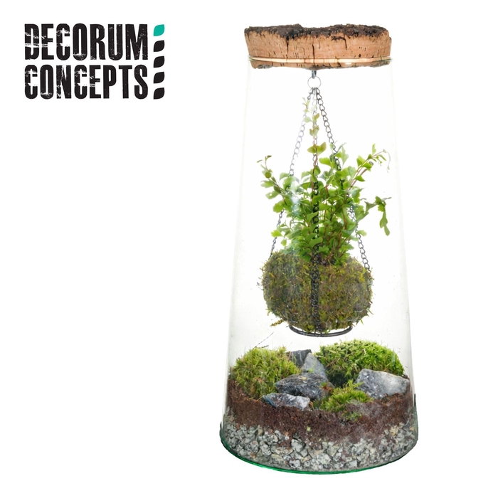 <h4>Arr.   Kamerplant Groen H%</h4>