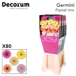 Germini Mix Pastel Diamond