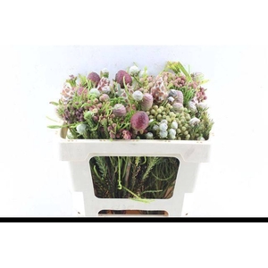 KAAPS GROE GEM IN BS