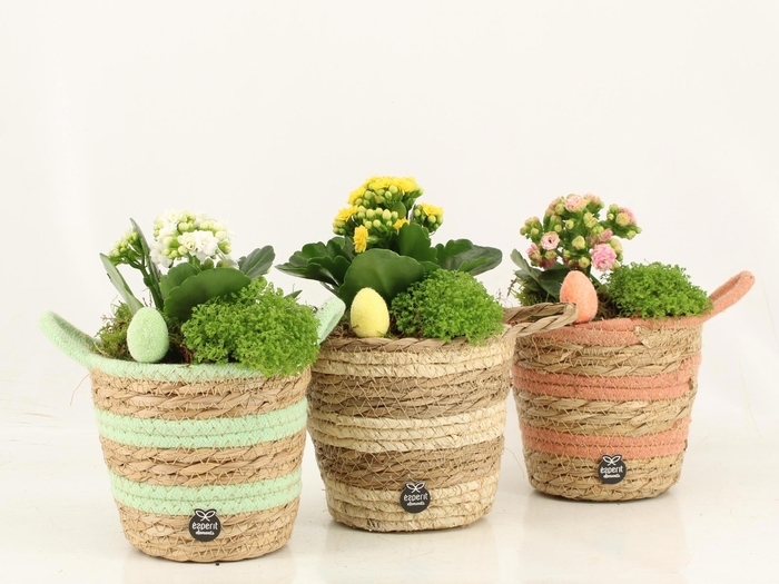 <h4>70983: Easter arrangement</h4>