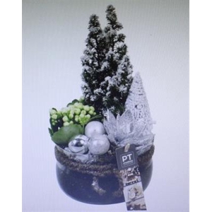 4371 Wit Bose Boompje