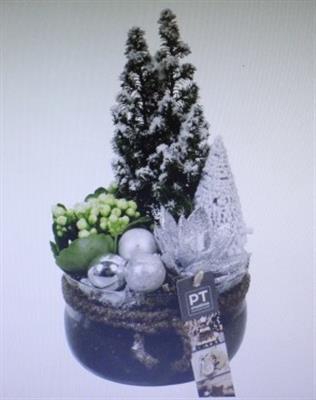 <h4>4371 WIT BOSE BOOMPJE</h4>