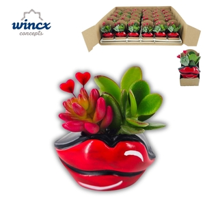 Concepts® - Valentine Hotlips Dobbel
