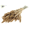 Setaria per bunch Antique Gold + Glitter