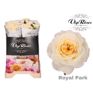 R GR ROYAL PARK