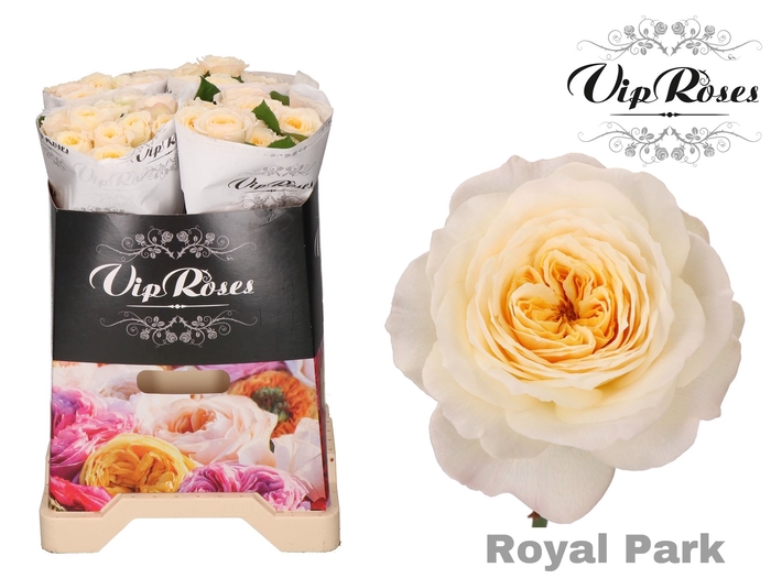 R GR ROYAL PARK