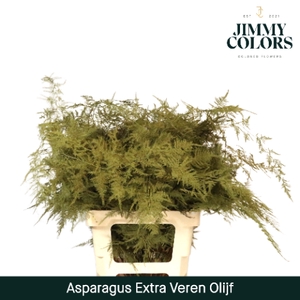 Asp extra veren Olive