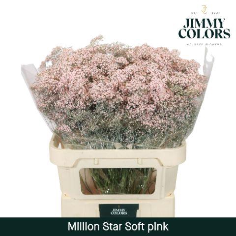 <h4>Gyps Million Star L80 Soft Pink</h4>