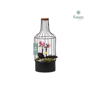 Metalen fles met kurk zwart small met Phalaenopsis