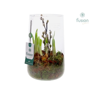 Green Bottle Deline Large met Narcissus