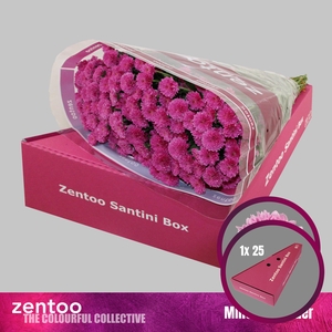 CHR S MILLER LAVENDER