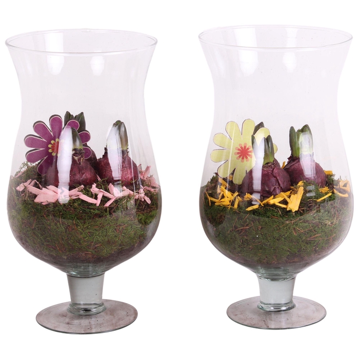 <h4>Bulbs Arr. Hyacint Glass Cognac Ø17cm 3PP</h4>