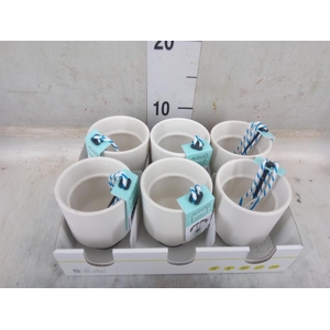 Pot   ...Keramische H%