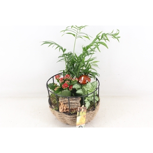 arr2 JS - Jute draadmand rood