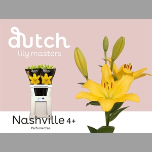 Li La Nashville Geel