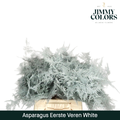 <h4>Asparagus 1ste White</h4>