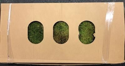 <h4>DROOG INDIAN / PLATMOS</h4>