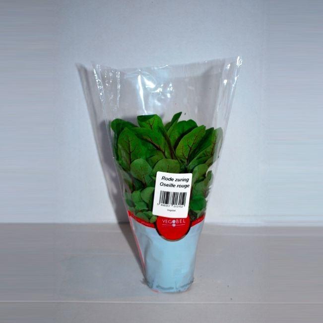 <h4>Zuring Rood P9</h4>