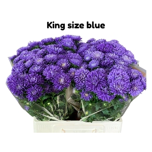 Callis King Size Blue
