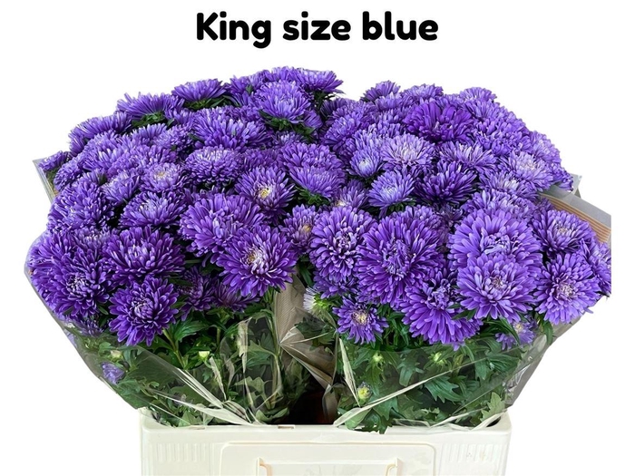 <h4>Callis King Size Blue</h4>